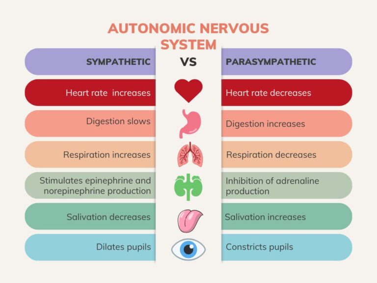 chronic pain nervous system